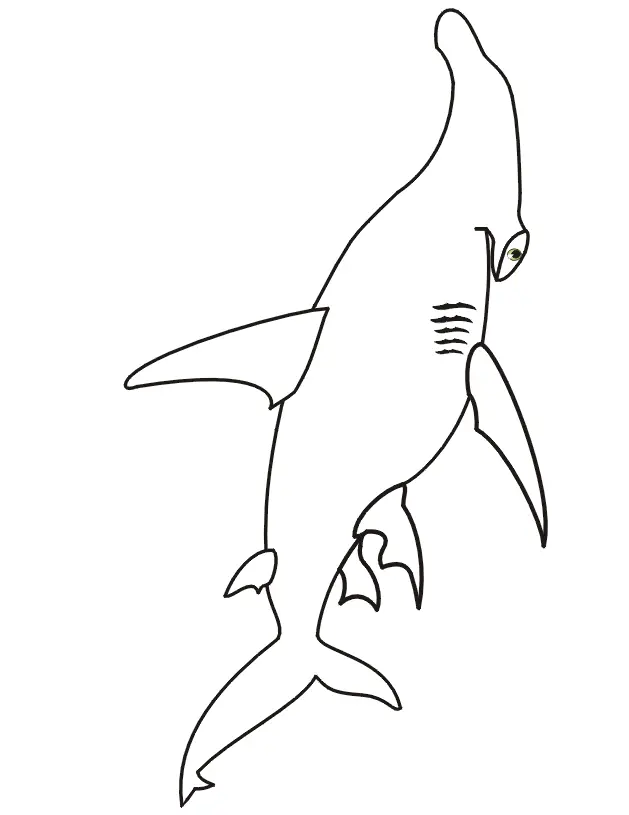 Shark Coloring Pages 80