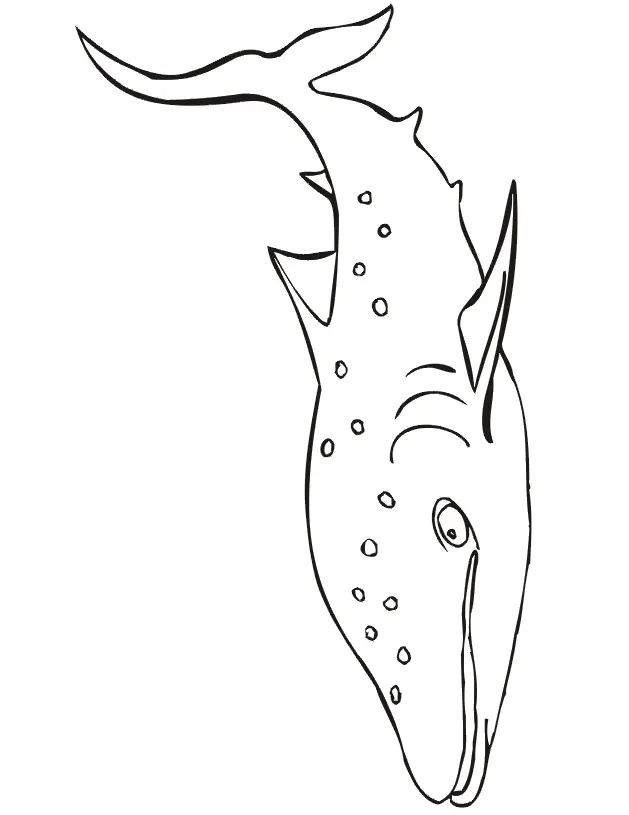 Shark Coloring Pages 83