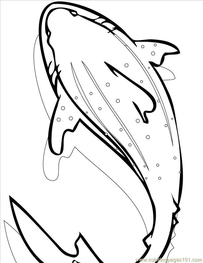 Shark Coloring Pages 97
