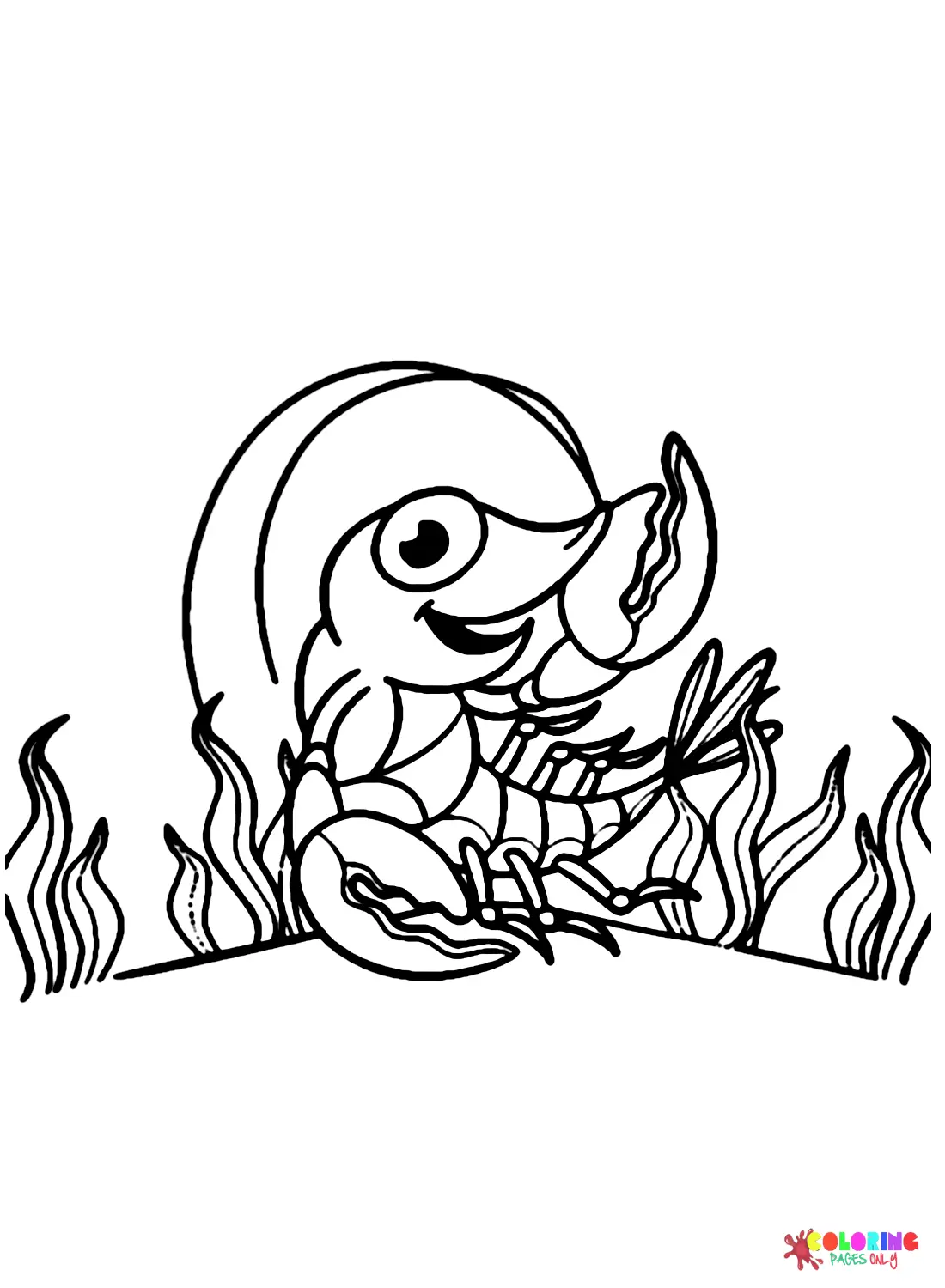 Desenhos de Camarao Para Colorir 11