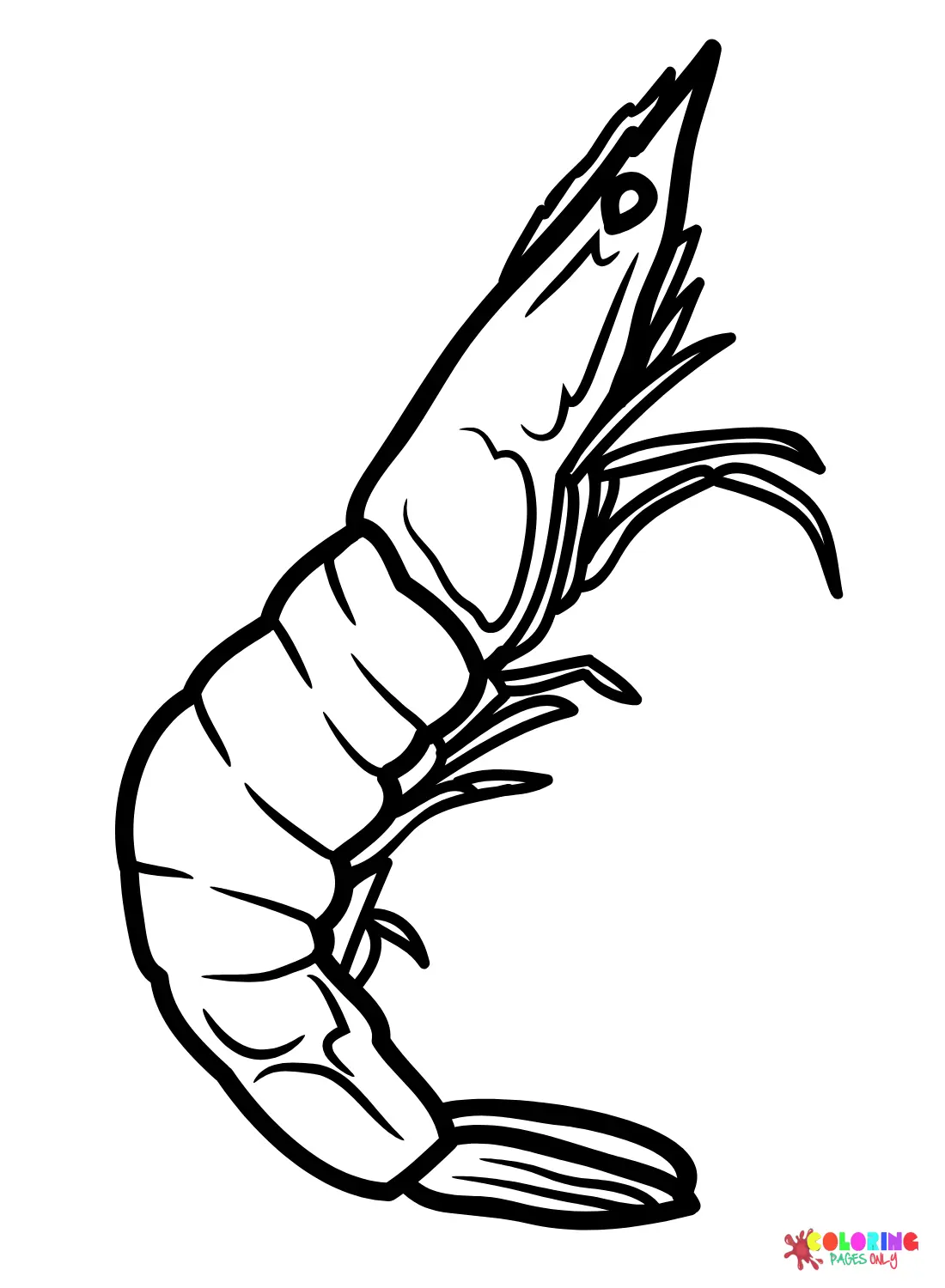 Desenhos de Camarao Para Colorir 4