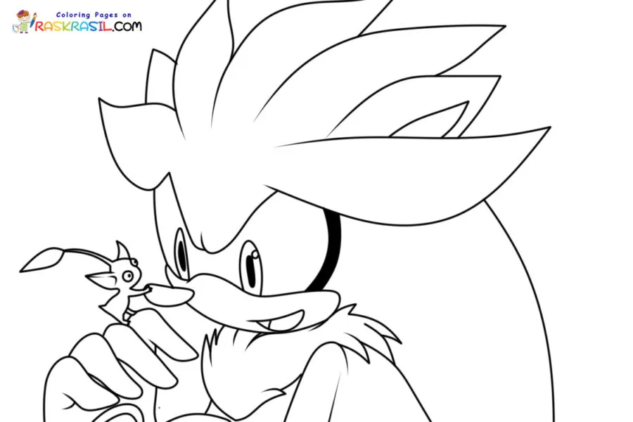 Ausmalbilder von Silver dem Igel 6