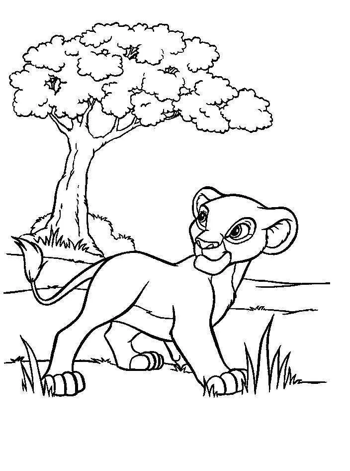 Simba Ausmalbilder 30
