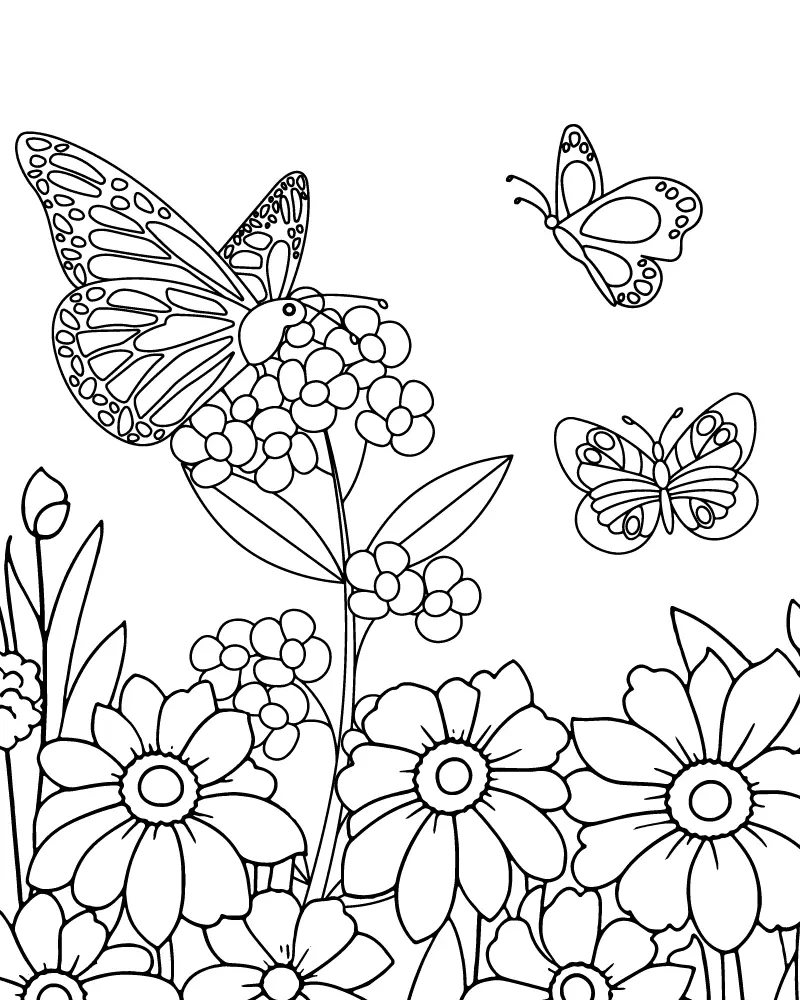 Simple Adult Coloring Pages 14