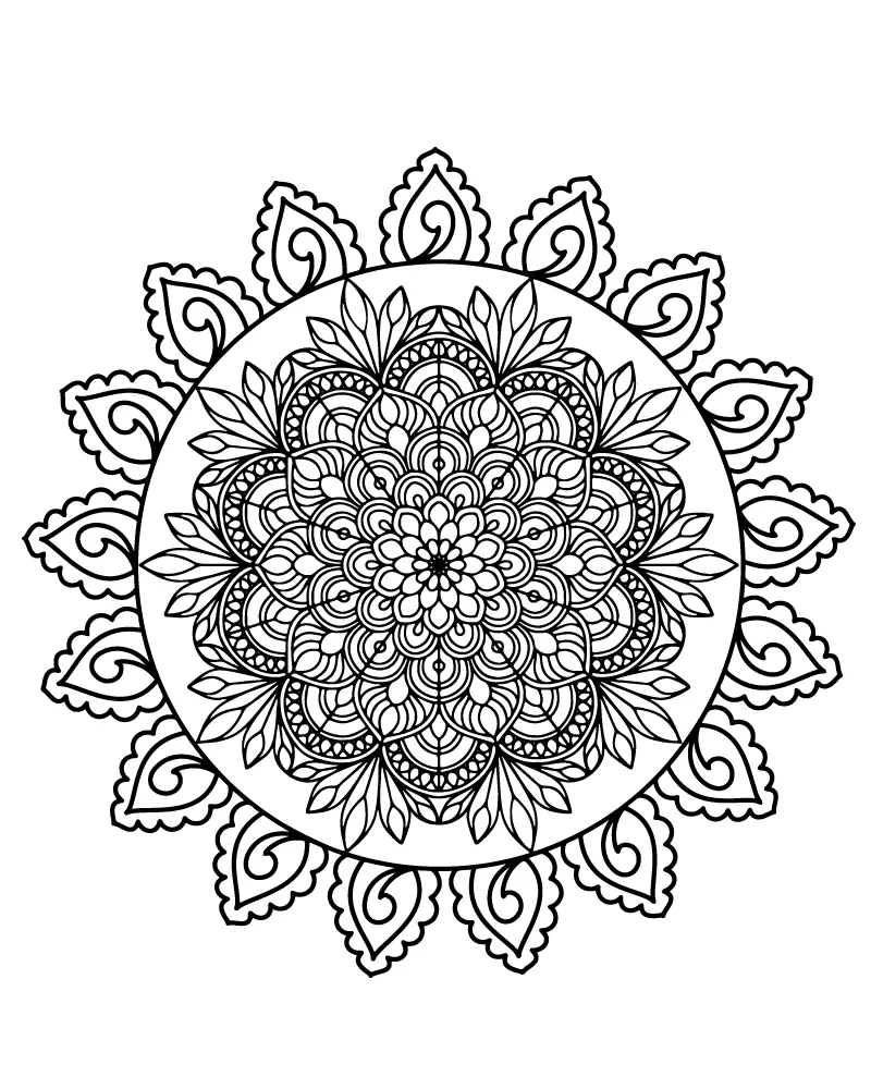 Simple Adult Coloring Pages