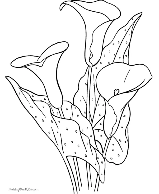 Flores Simples Para Colorear 12
