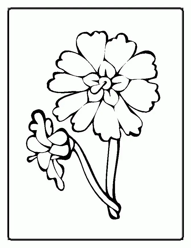 Flores Simples Para Colorear 28
