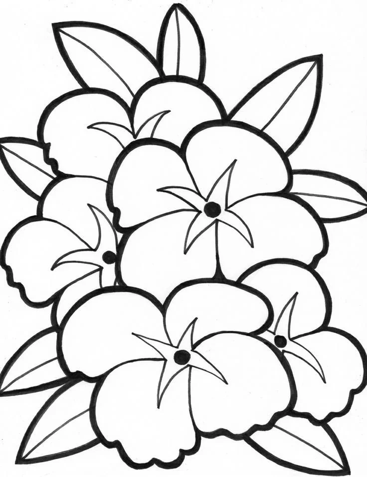 Flores Simples Para Colorear 34