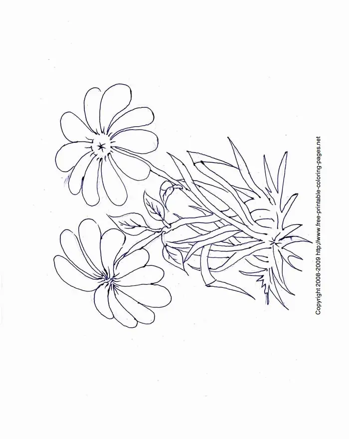 Flores Simples Para Colorear 4