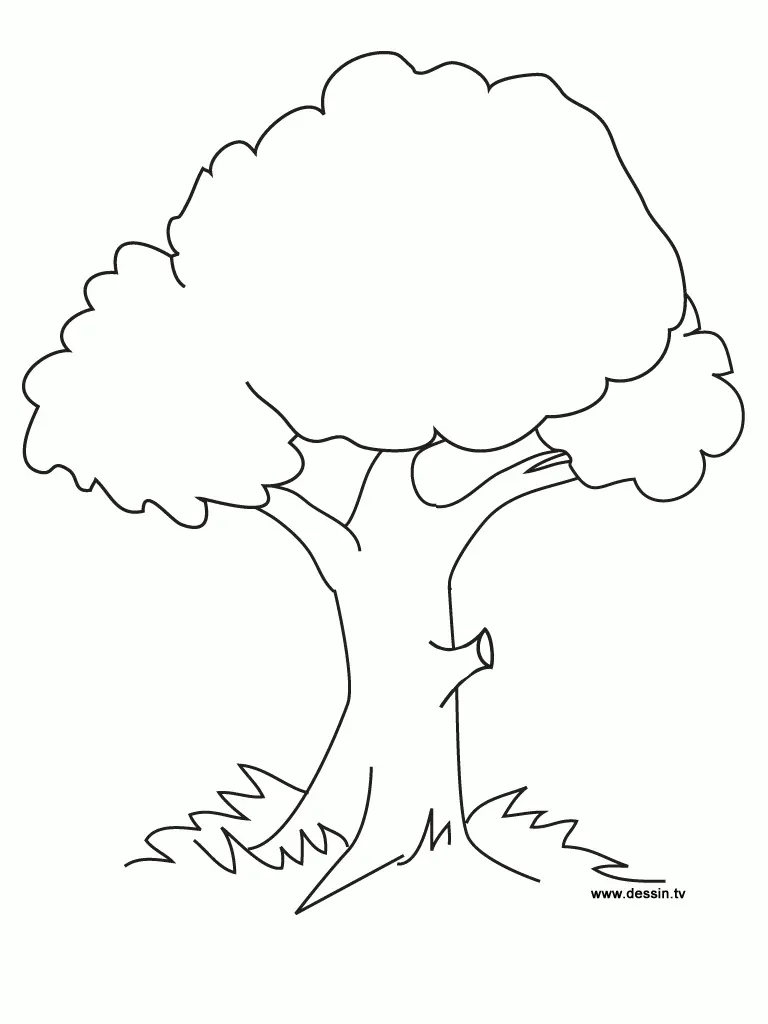 Simple Tree Coloring Pages 2