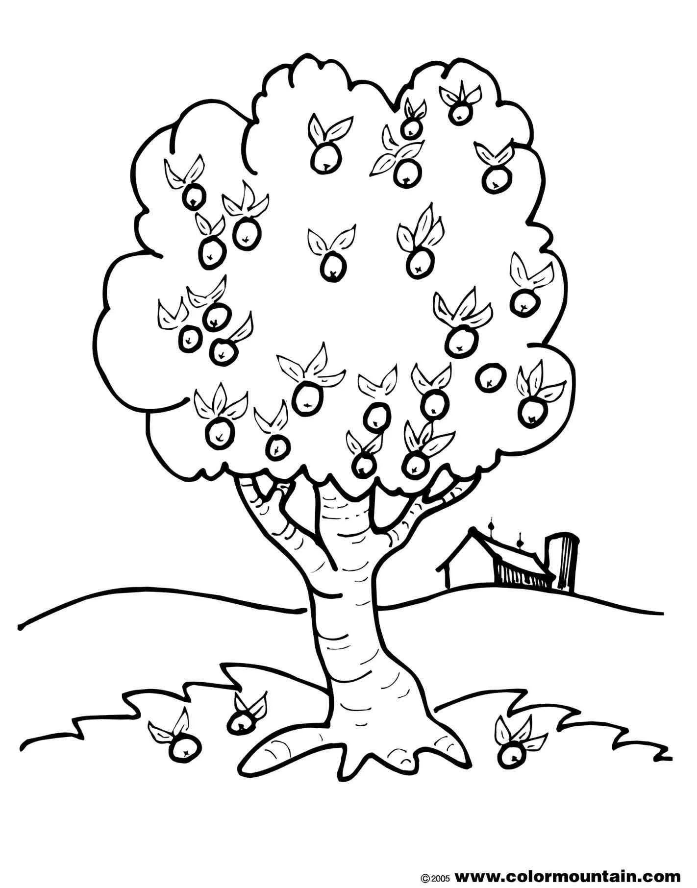 Simple Tree Coloring Pages 31