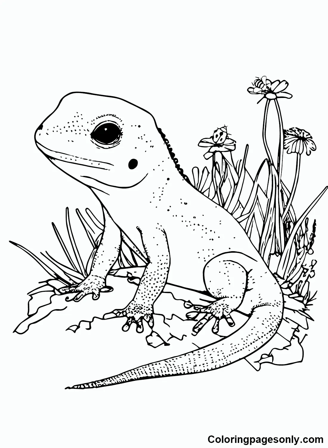 Desenhos de Skink Para Colorir 17