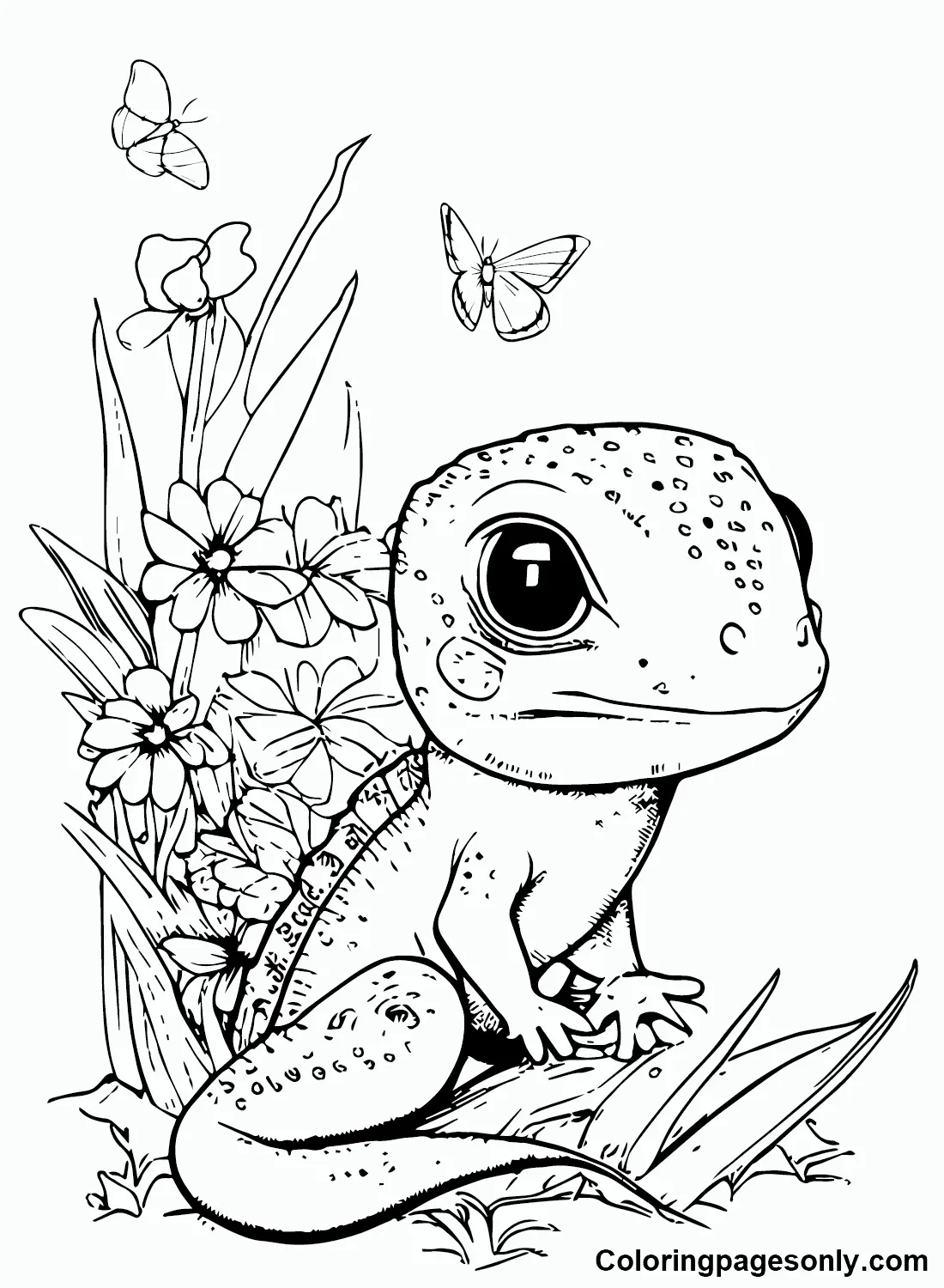 Desenhos de Skink Para Colorir 2