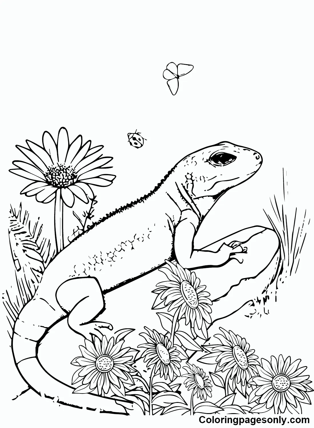 Desenhos de Skink Para Colorir 7