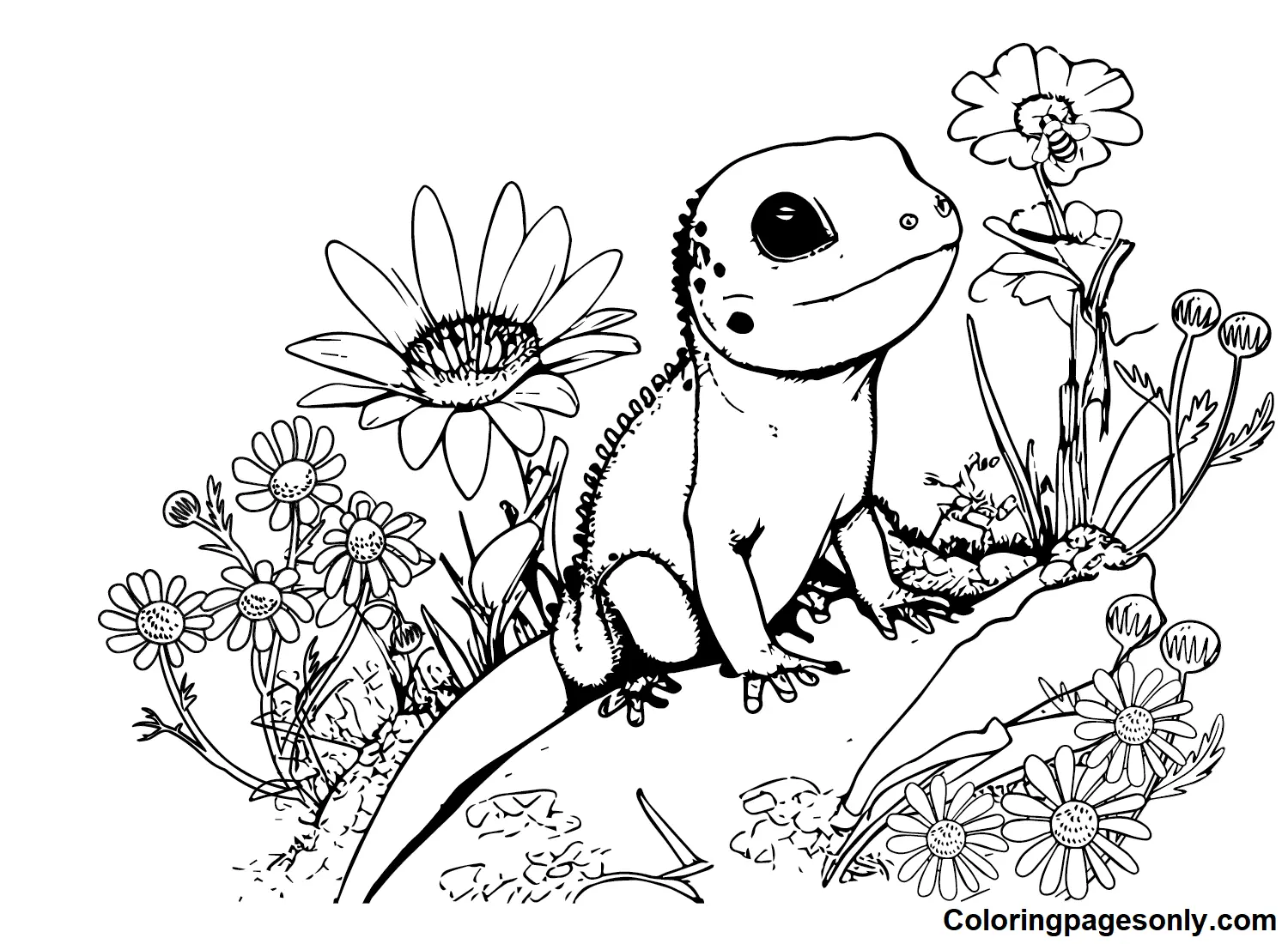 Desenhos de Skink Para Colorir 9