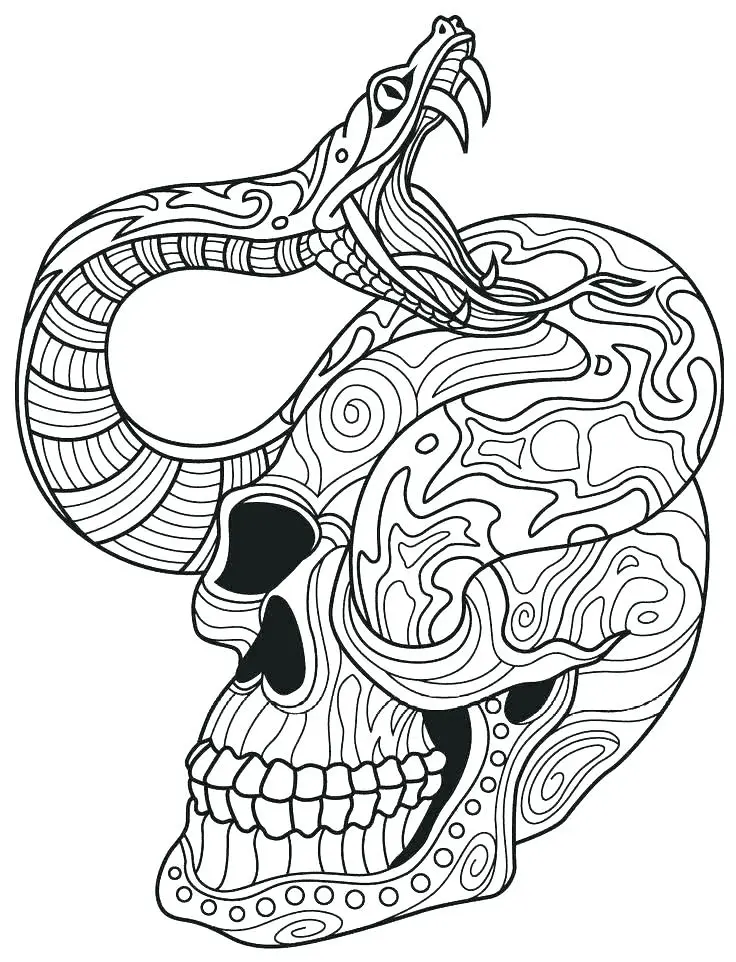 Skull Coloring Pages 2