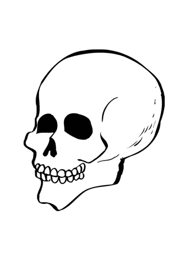 Skull Coloring Pages 39