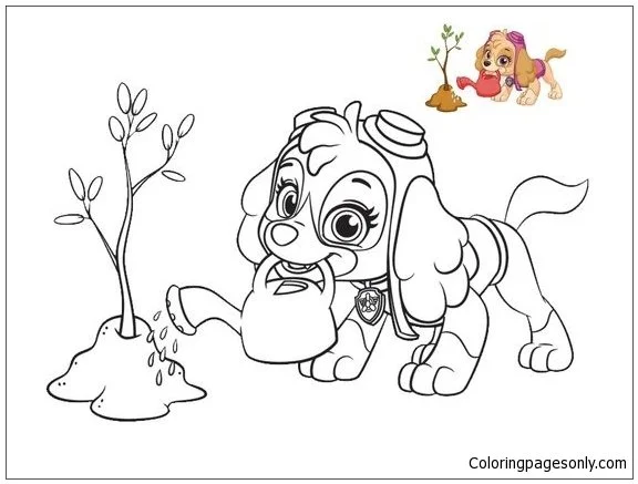 Skye Paw Patrol Ausmalbilder 22