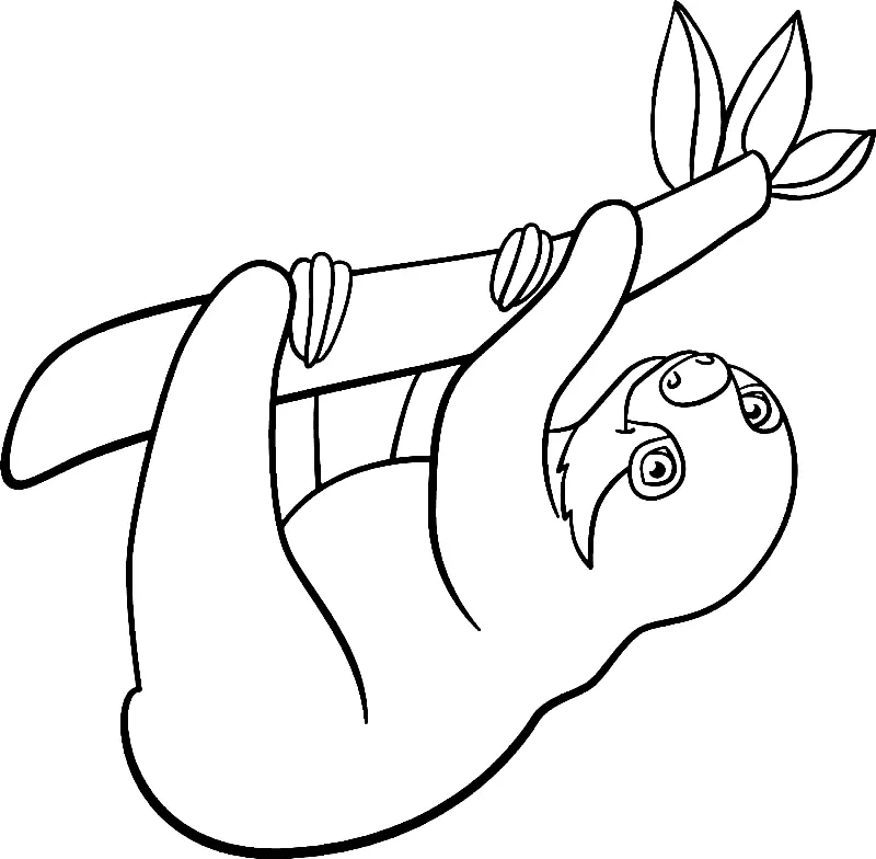 Sloth Coloring Pages 19