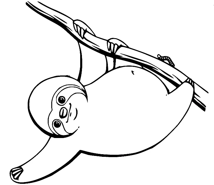 Sloth Coloring Pages 20