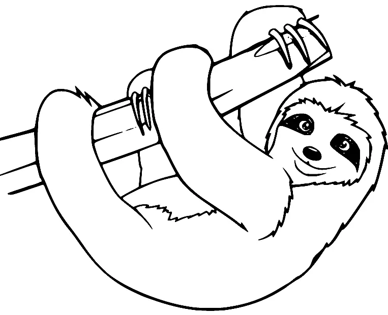 Sloth Coloring Pages 21