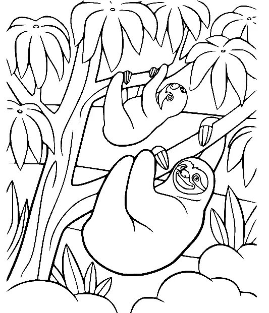 Sloth Coloring Pages 25