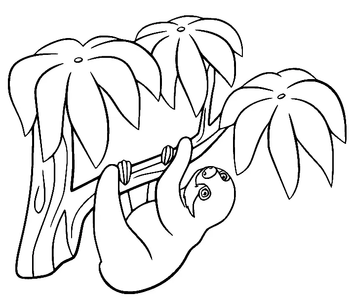 Sloth Coloring Pages 29