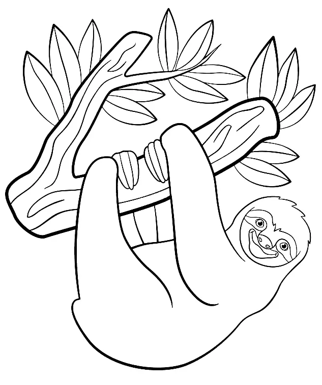 Sloth Coloring Pages 32