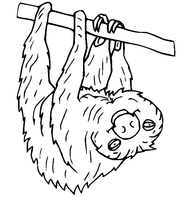 Sloth Coloring Pages 33