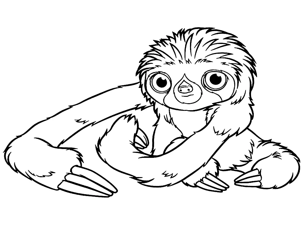 Sloth Coloring Pages 35