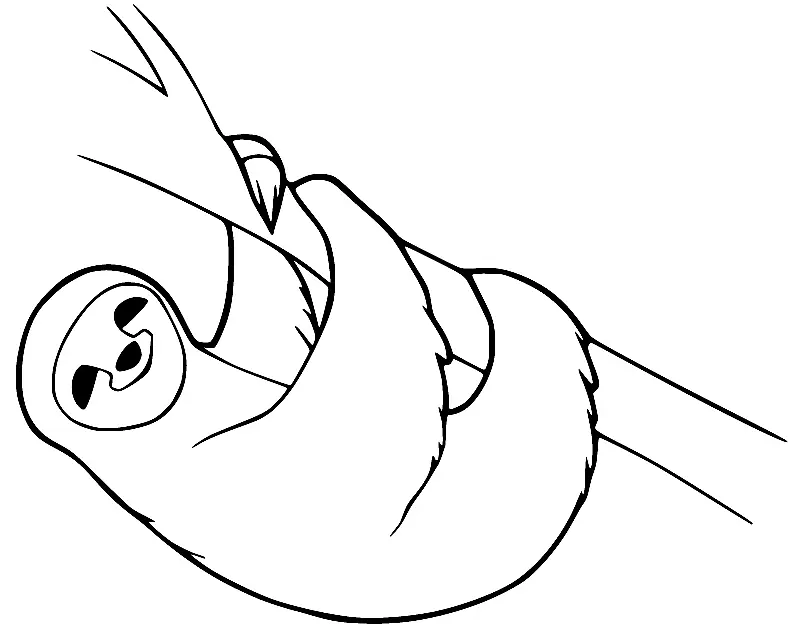 Sloth Coloring Pages 36