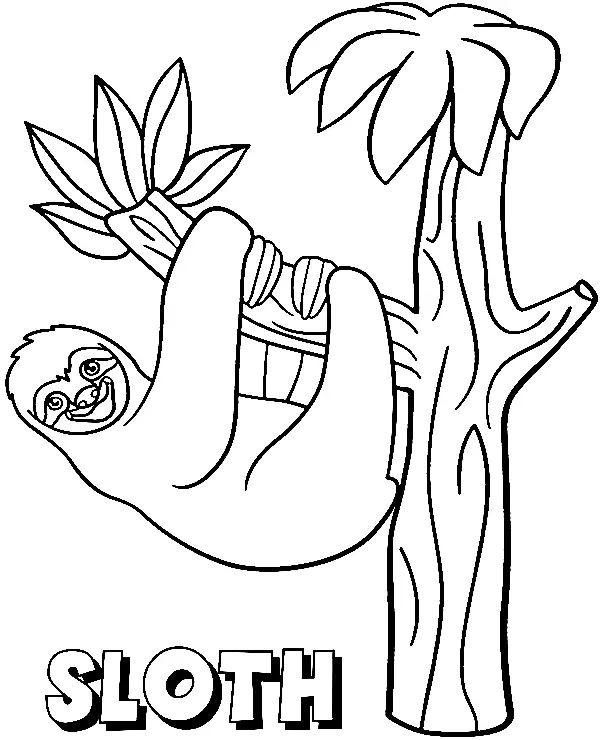Sloth Coloring Pages 37