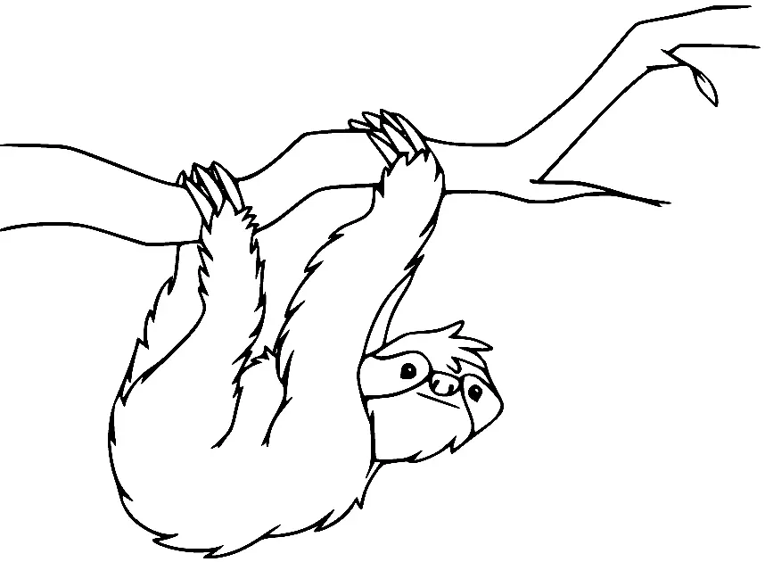 Sloth Coloring Pages 38