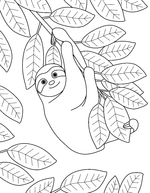 Sloth Coloring Pages 41