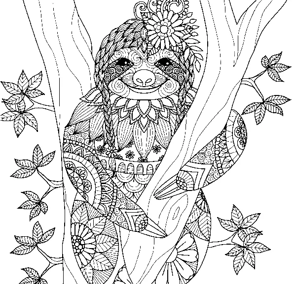 Sloth Coloring Pages 9