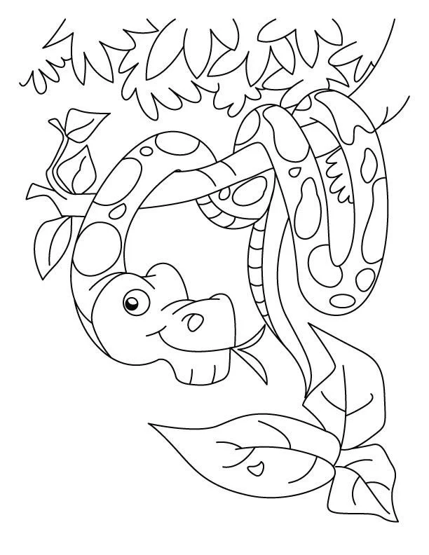 Desenhos de Cobra Para Colorir 102