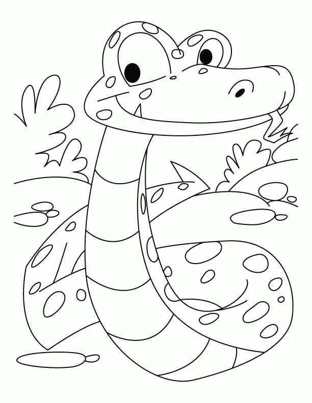 Desenhos de Cobra Para Colorir 109