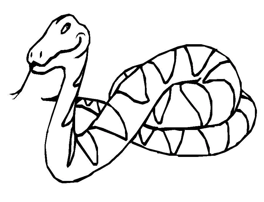 Desenhos de Cobra Para Colorir 38