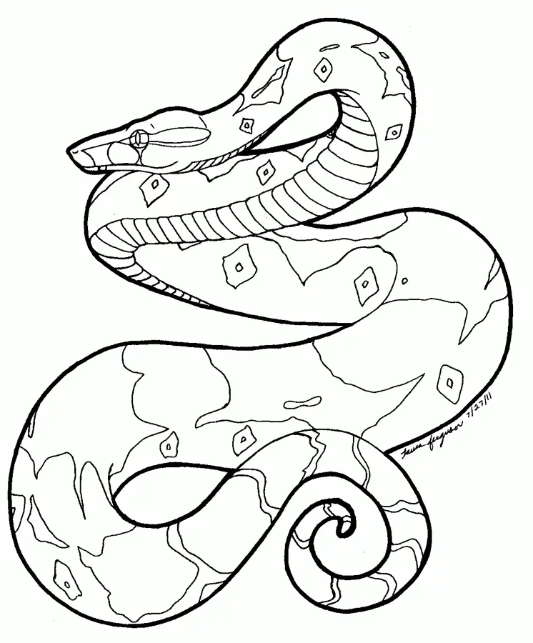 Desenhos de Cobra Para Colorir 47