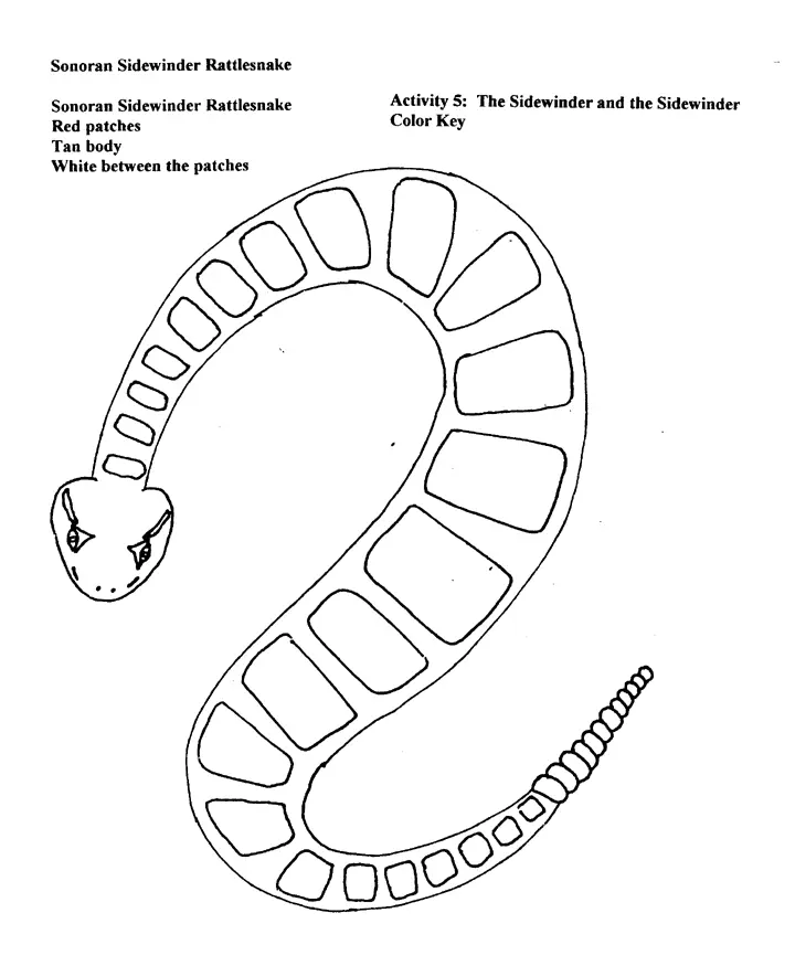 Desenhos de Cobra Para Colorir 58