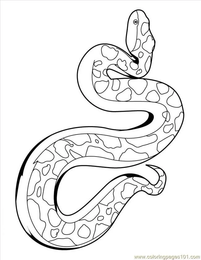 Desenhos de Cobra Para Colorir 72