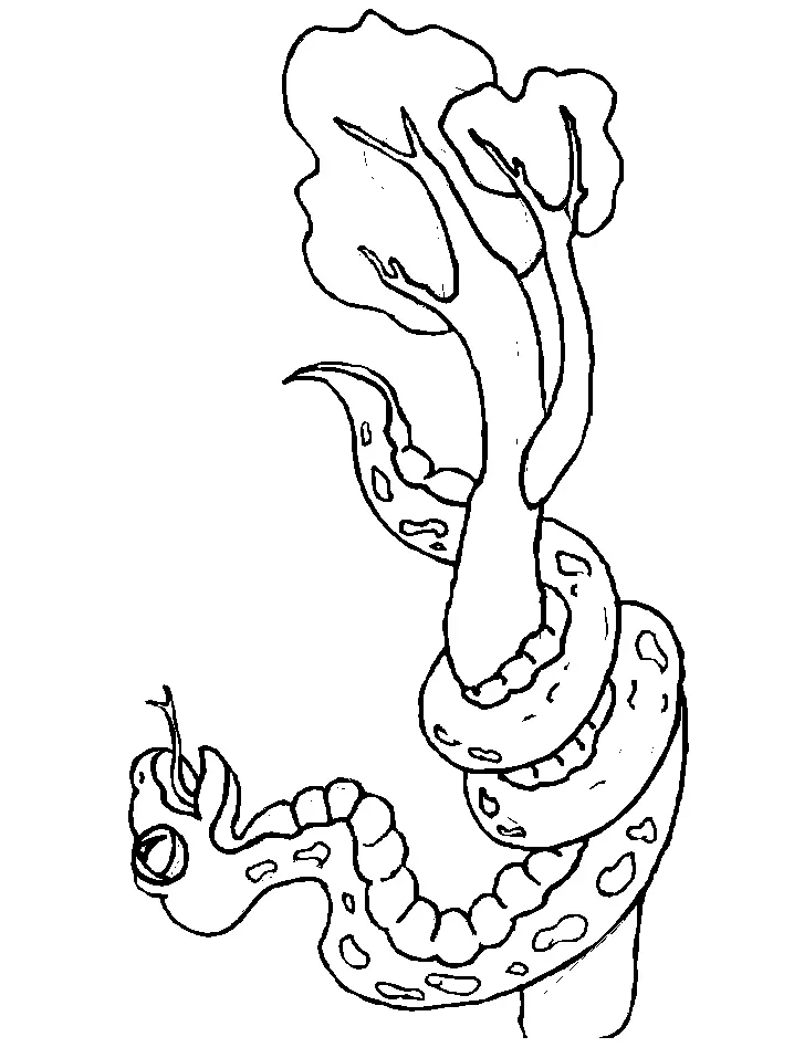 Desenhos de Cobra Para Colorir 93