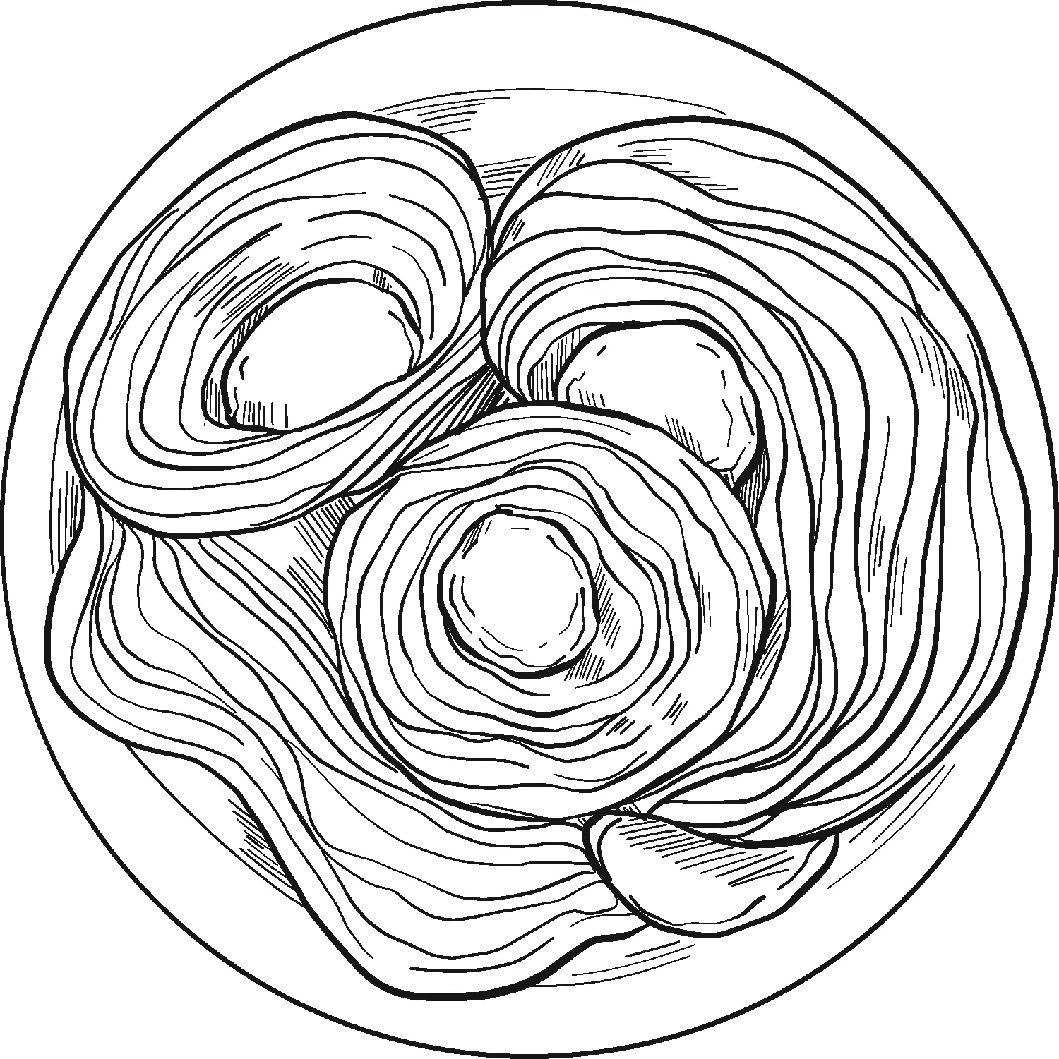 Spaghetti Coloring Pages 11