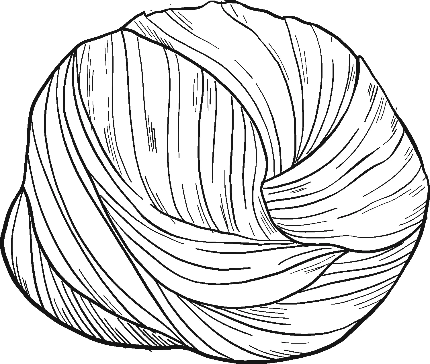 Spaghetti Coloring Pages 4
