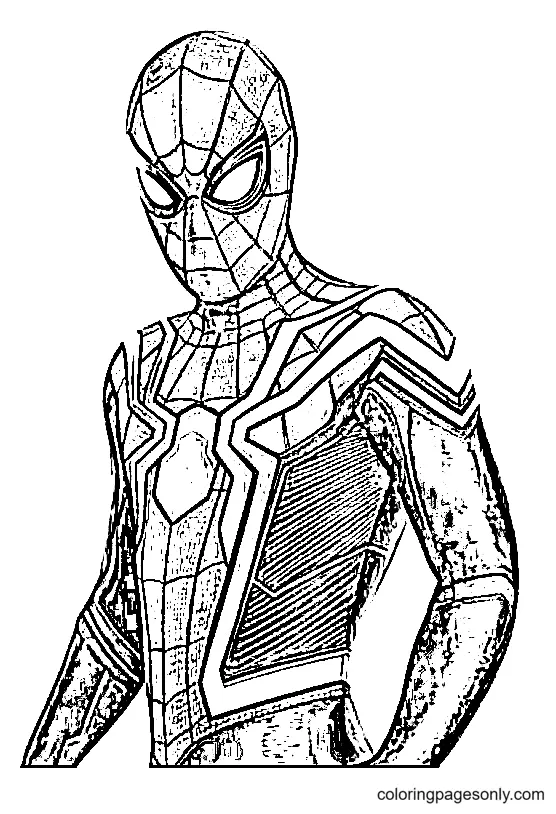 Spider Man No Way Home Ausmalbilder 4