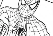 Desenhos de Spiderman Para Colorir 146