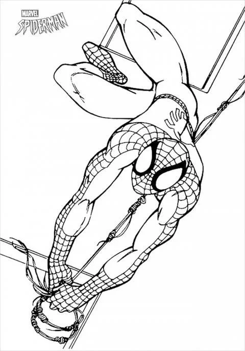 Desenhos de Spiderman Para Colorir 90