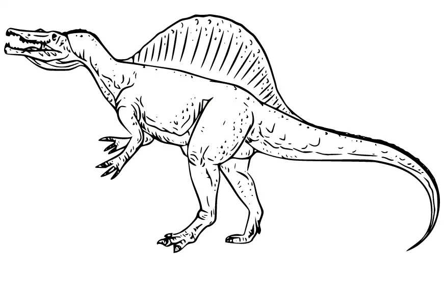 Spinosaurus Ausmalbilder 6