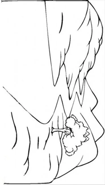 Spring Coloring Pages 109