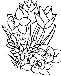 Spring Coloring Pages 15